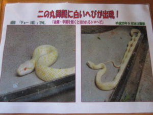 掛川城　ヘビ
