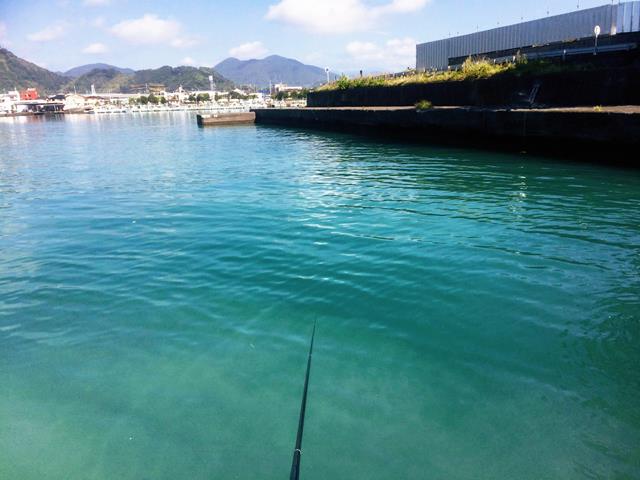 2018年8月26日　紀州釣り釣行記　静岡県用宗港　小チヌ日和でした