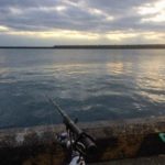 2018年12月15日　紀州釣り釣行記　静岡県焼津新港　今日もバナメイえびが好調でした