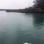 2019年3月21日　紀州釣り釣行記　雨の中の釣りpart2　ウキのテスト